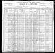 Dostal, Michael - 1900 Census.jpg Dostal, Michael - 1900 Census.jpg