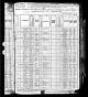 1880 U.S. census, Washington County, Georgia, population schedule, Riddleville, enumeration district 138, p. 384C 1880 U.S. census, Washington County, Georgia, population schedule, Riddleville, enumeration district 138, p. 384C