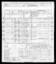 1950 U.S. census, Mahoning County, Ohio, population schedule, Youngstown, enumeration district 100-88, p. 17 1950 U.S. census, Mahoning County, Ohio, population schedule, Youngstown, enumeration district 100-88, p. 17