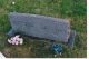 Whitman, Mildred Whitman, Mildred